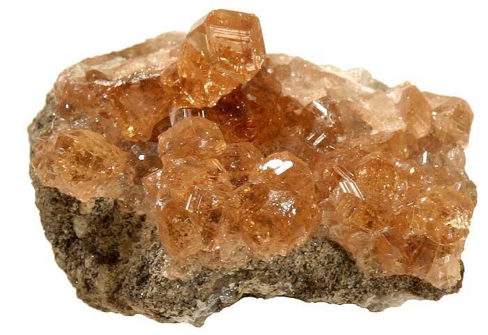 gỗ hóa thạch - ảnh thật minh họa 1 cho Thị trường gỗ hóa thạch và đá tự nhiên tại TP.HCM hiện ra sao?