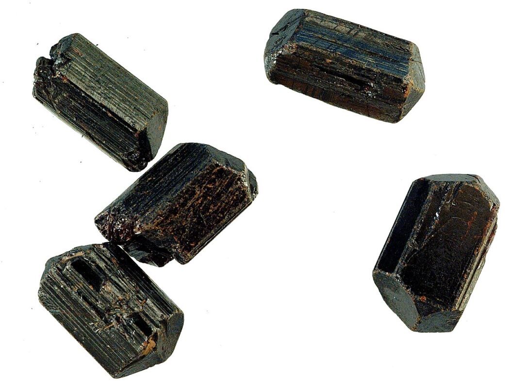 gỗ hóa thạch - ảnh thật minh họa 2 cho Thị trường gỗ hóa thạch và đá tự nhiên tại TP.HCM hiện ra sao?